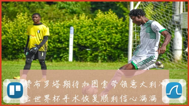 赞布罗塔期待加图索带领意大利冲击世界杯手术恢复顺利信心满满