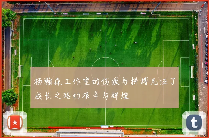 杨瀚森工作室的伤痕与拼搏见证了成长之路的艰辛与辉煌